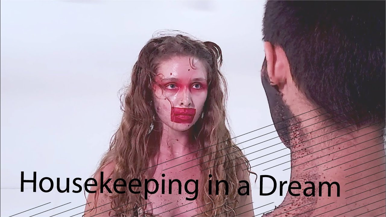 Housekeeping in a Dream